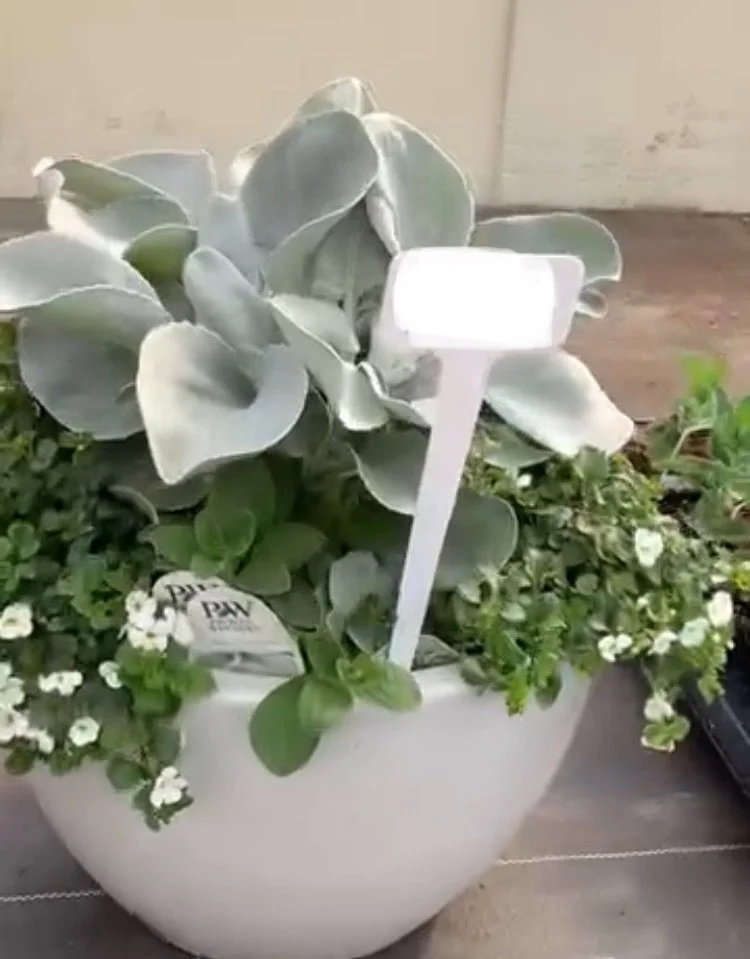 Screenshot 2026-01-16 at 1.19.44 PM (1).jpeg