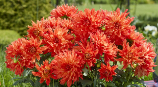 Screenshot 2025-11-28 133731.png