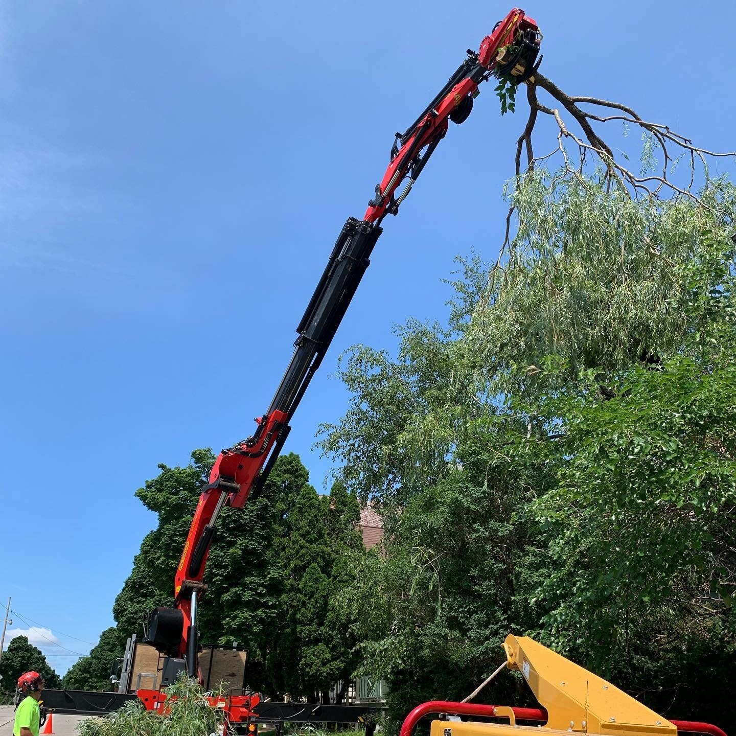 Weeping willow all up on the roof and in the basement 😳. #treemek #arborist #milwaukee #treework