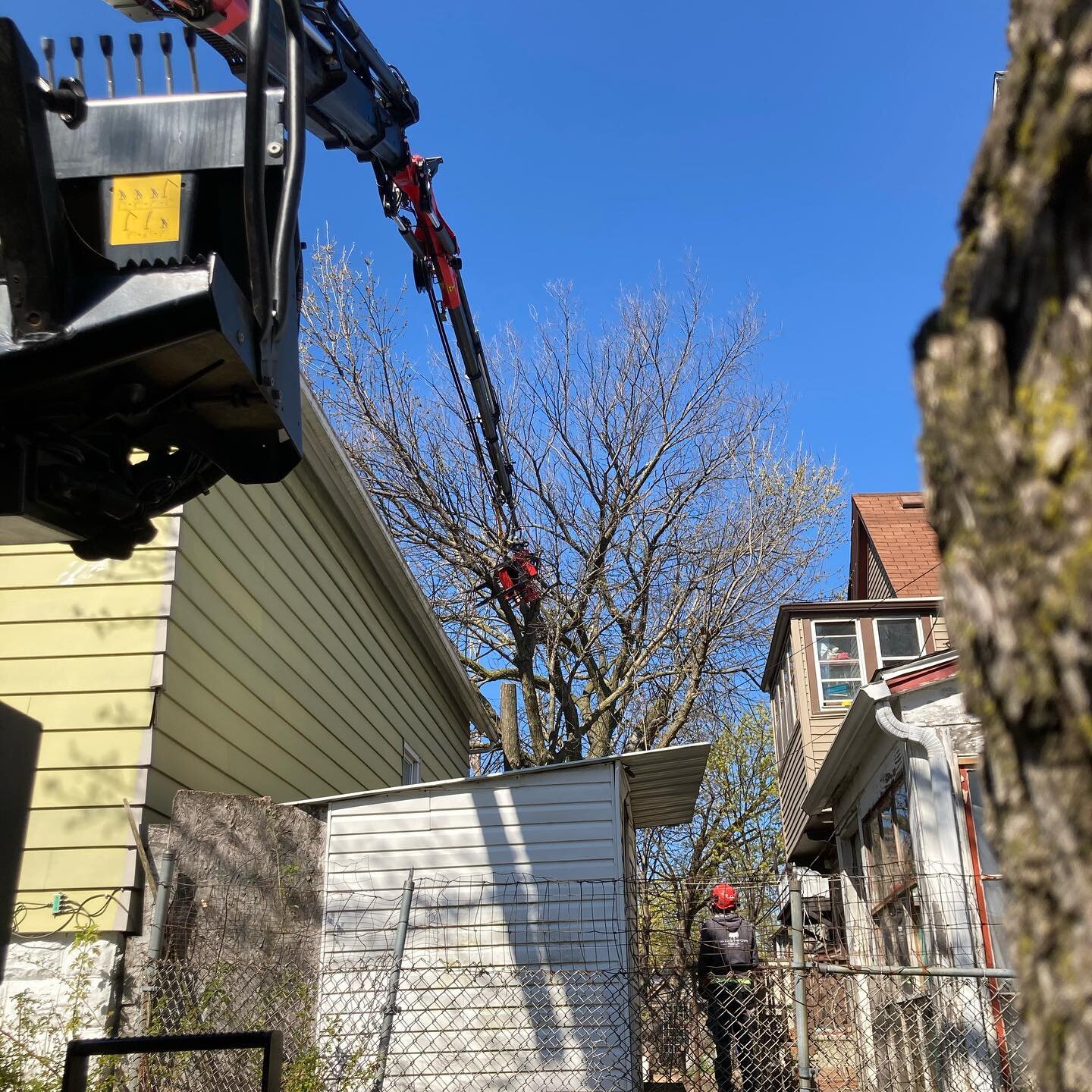 Thankful up and over is an option. #treemek #milwaukee #certifiedarborist #treecare