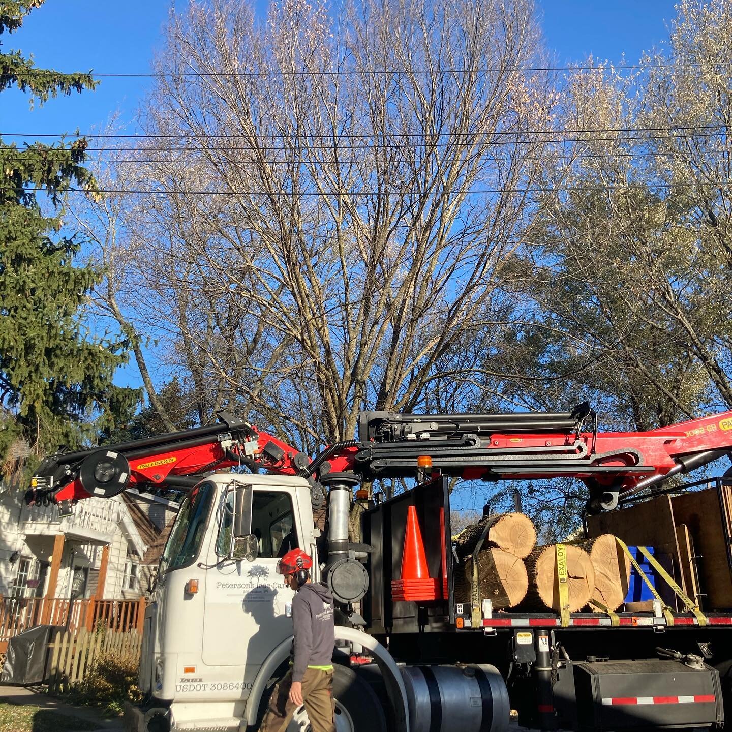 Hopefully getting into the drive was the hardest part of the day! #treemek #arborist #milwaukee
