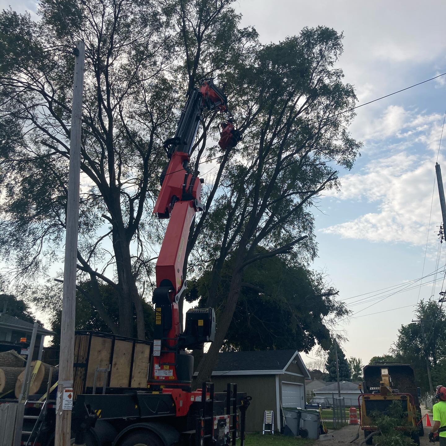 Big one today! #treemek #milwaukee #treework