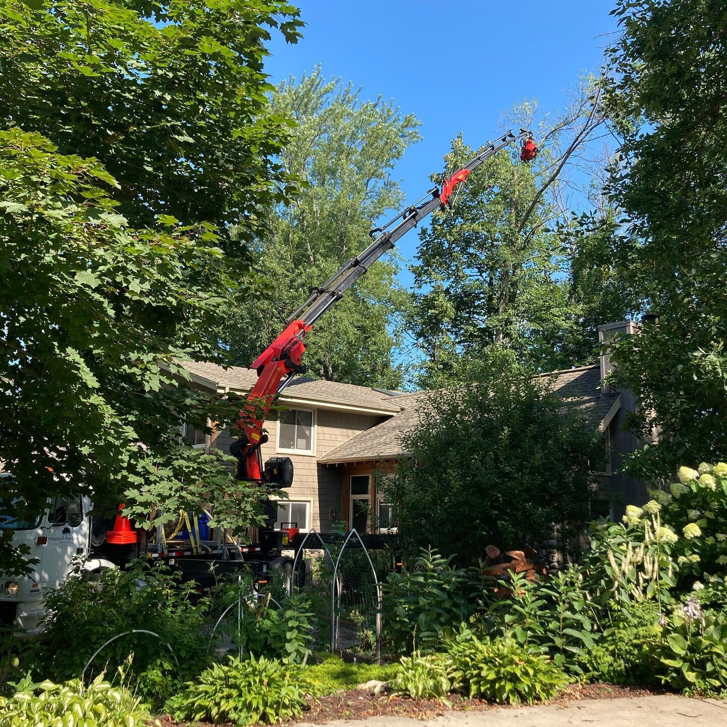 Might as well use the entire boom...This project was another one where we were asking ourselves is this even possible without a crane...No equipment access, koi pond directly under the dead tree among a very manicured garden. We were able to practice