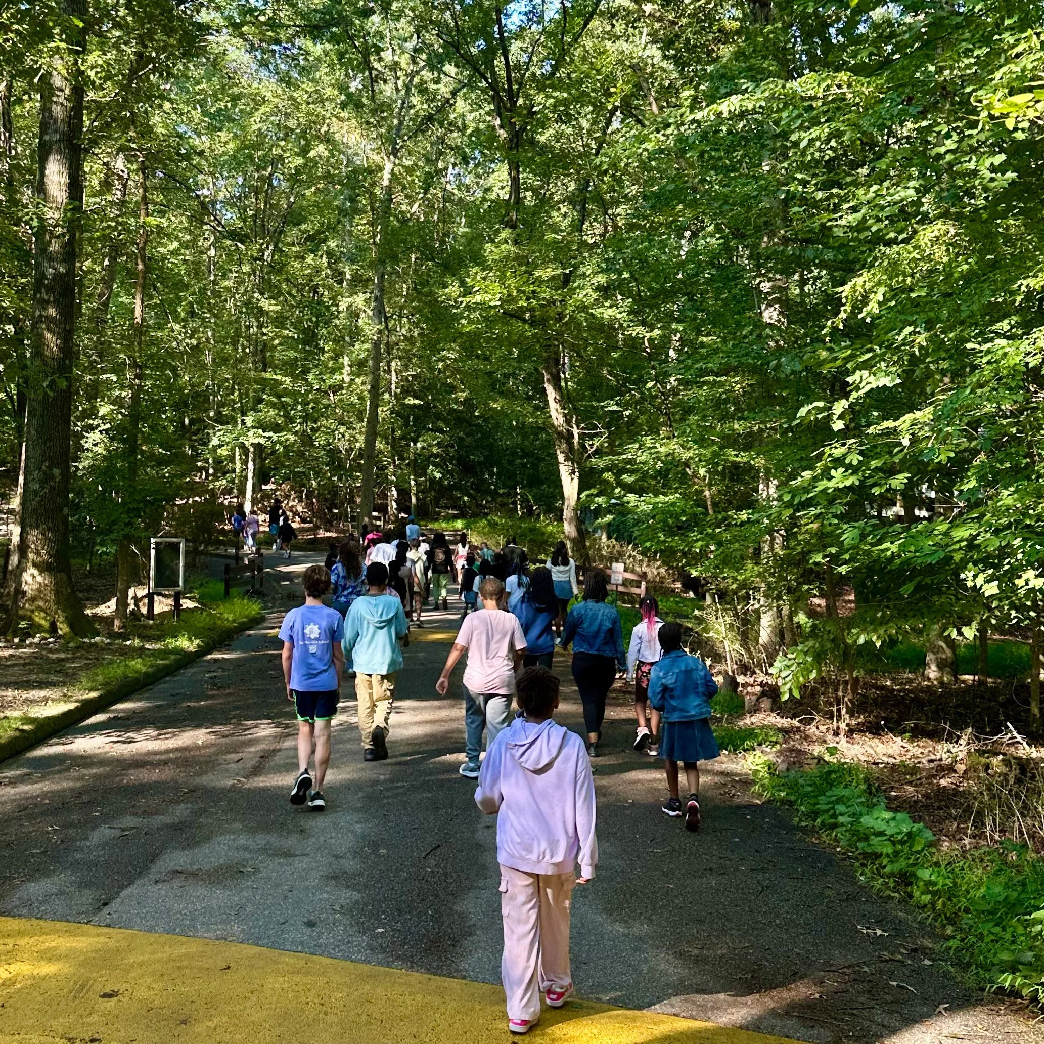 Children and staff walking on a tree-lined road on campus