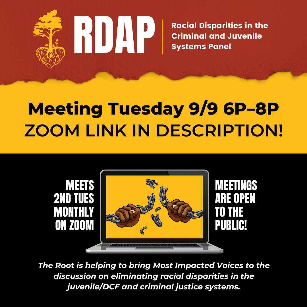 Racial Disparities in the Criminal and Juvenile Systems Panel (RDAP) on Zoom