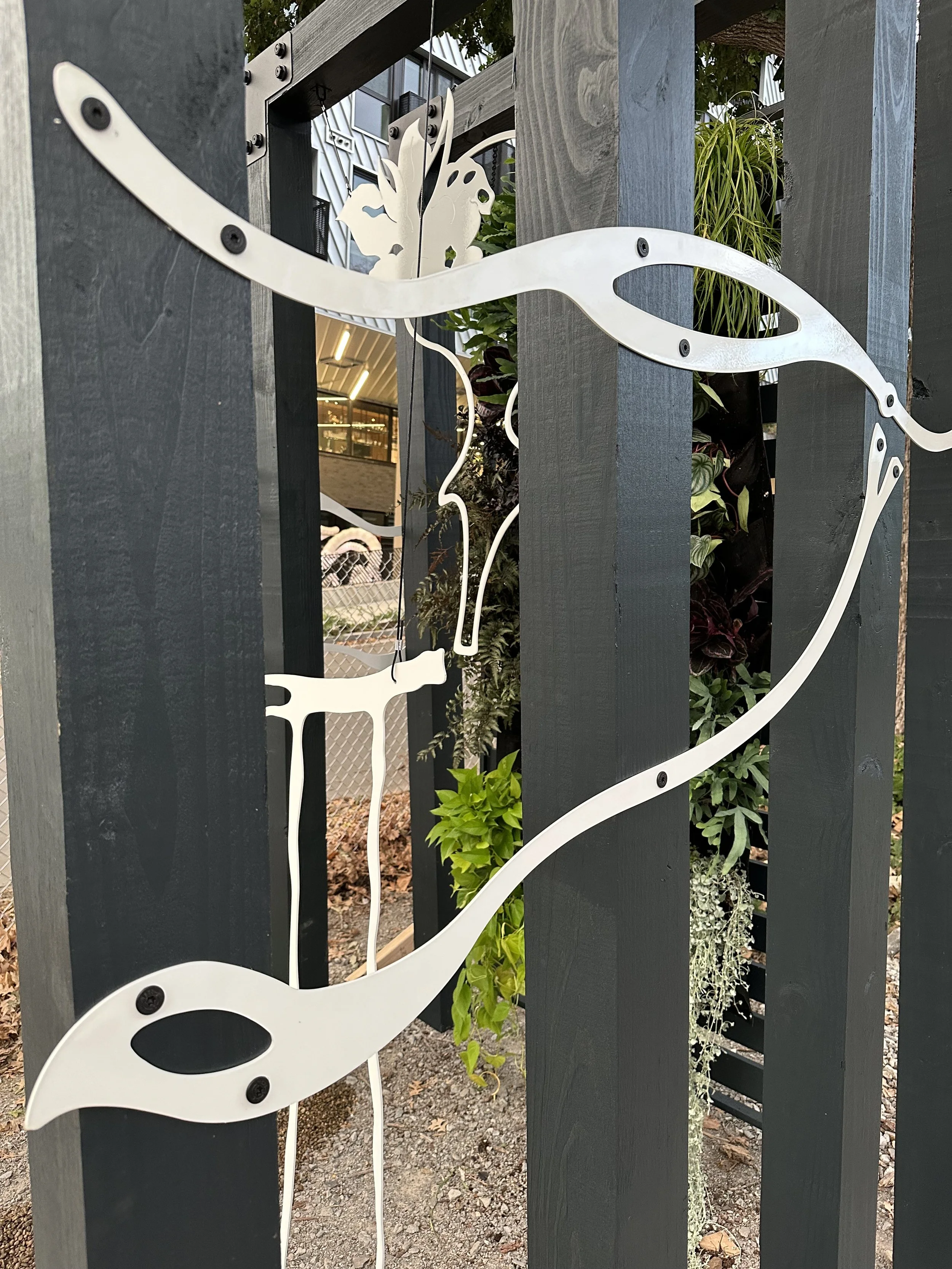 Seedling Side Detail