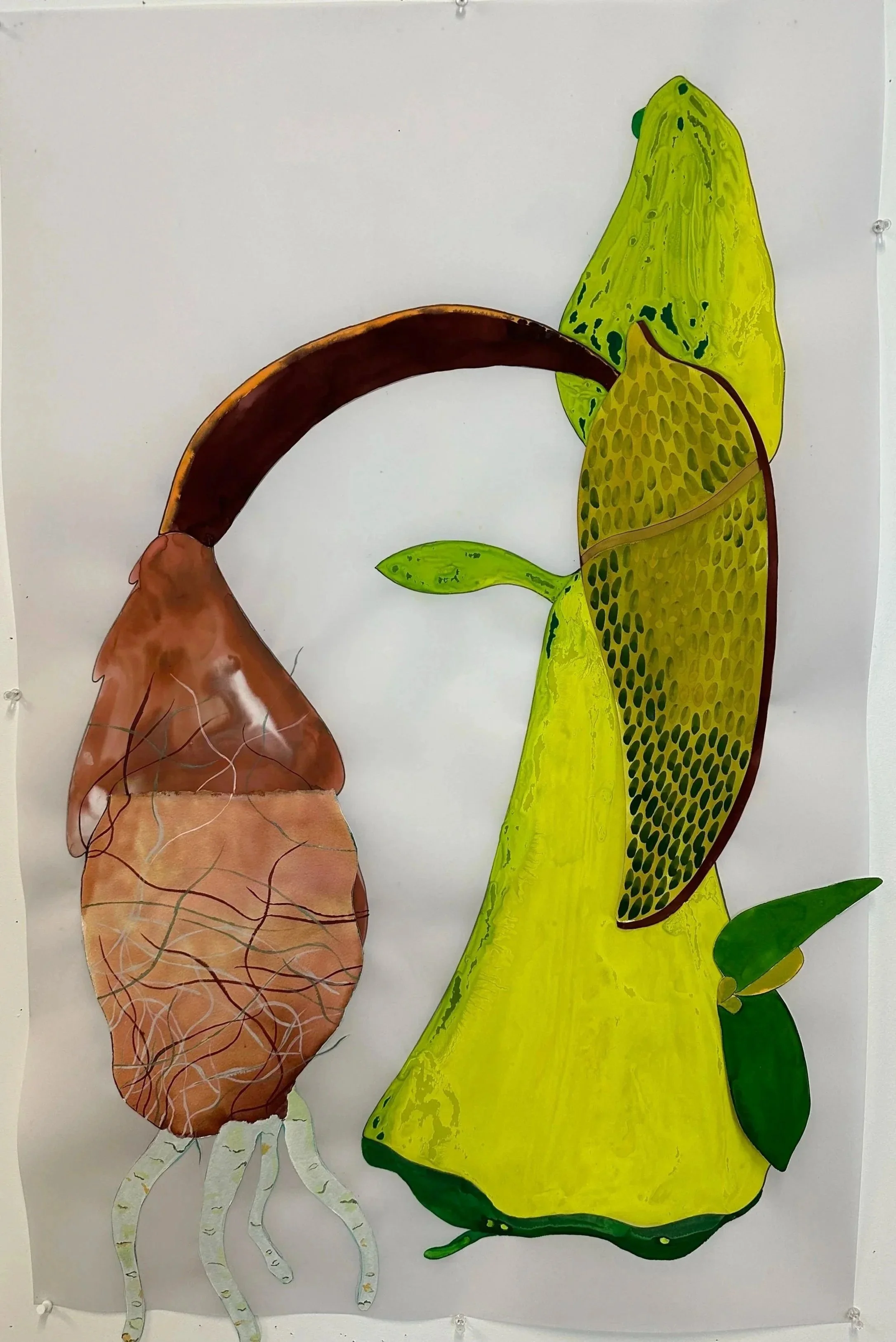 Injertos