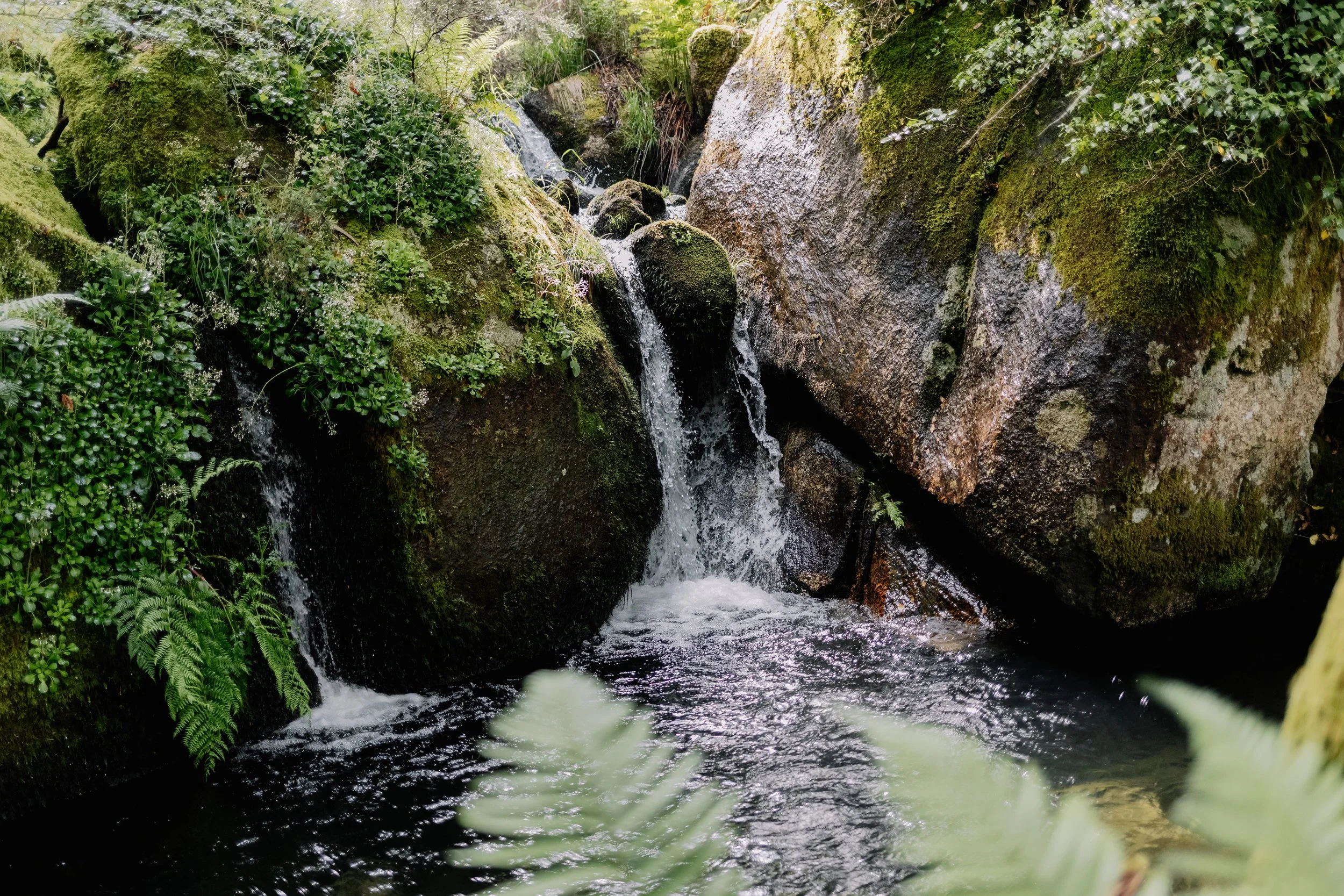 Numerous Apartments Available at the Tuscan Farmhouse