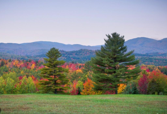 Screenshot 2026-01-26 150154.png