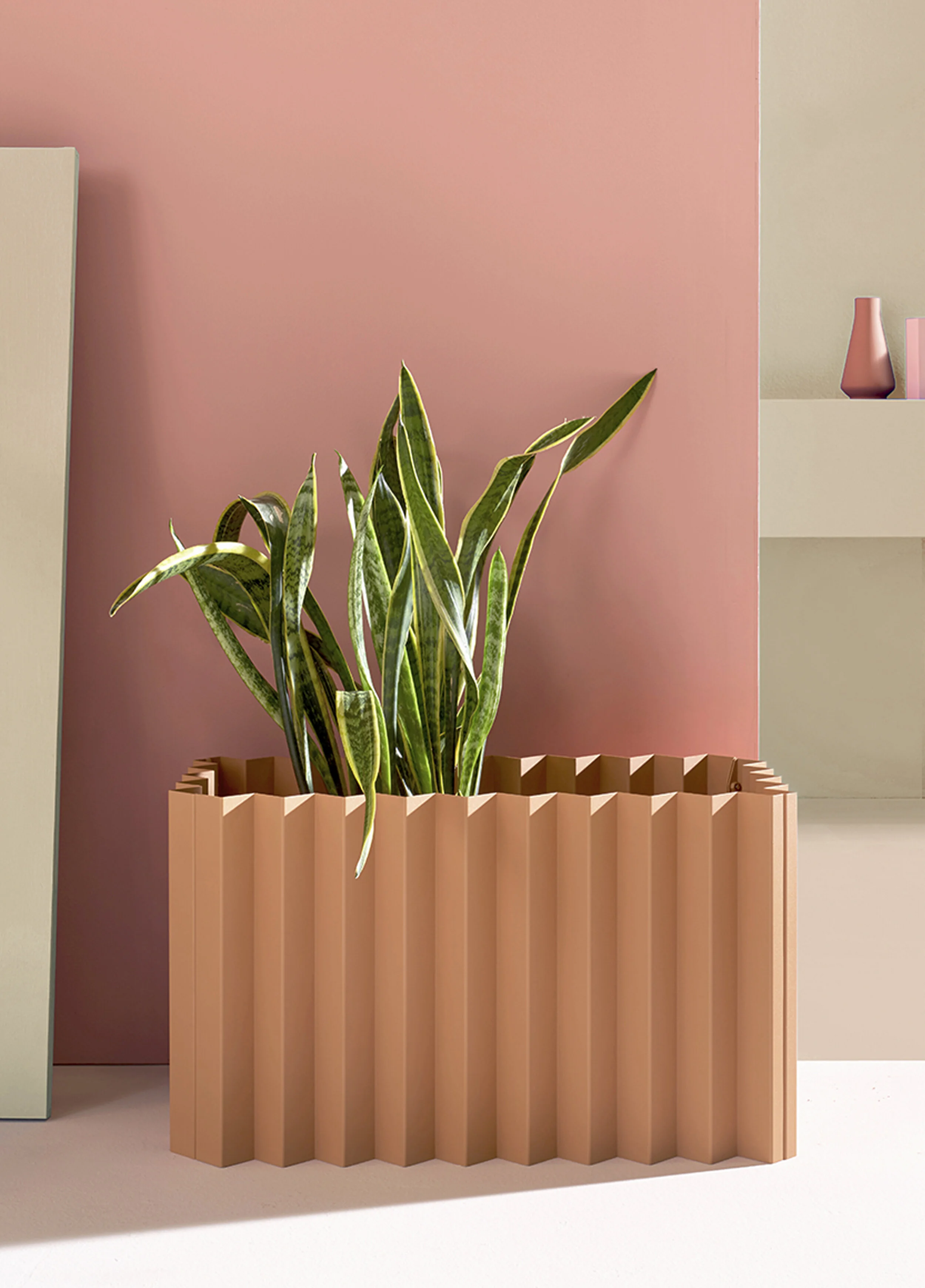 Tess_Low Rectangle_Coral_Plant_Straight.jpg