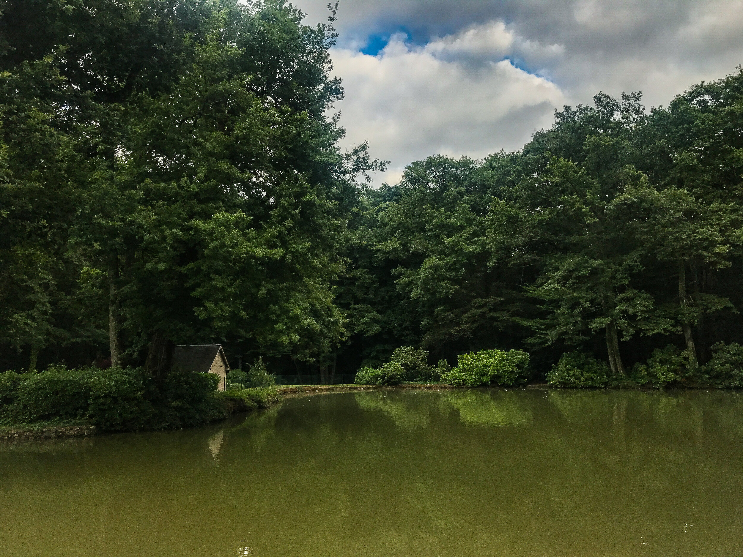 French pond brighter.jpg