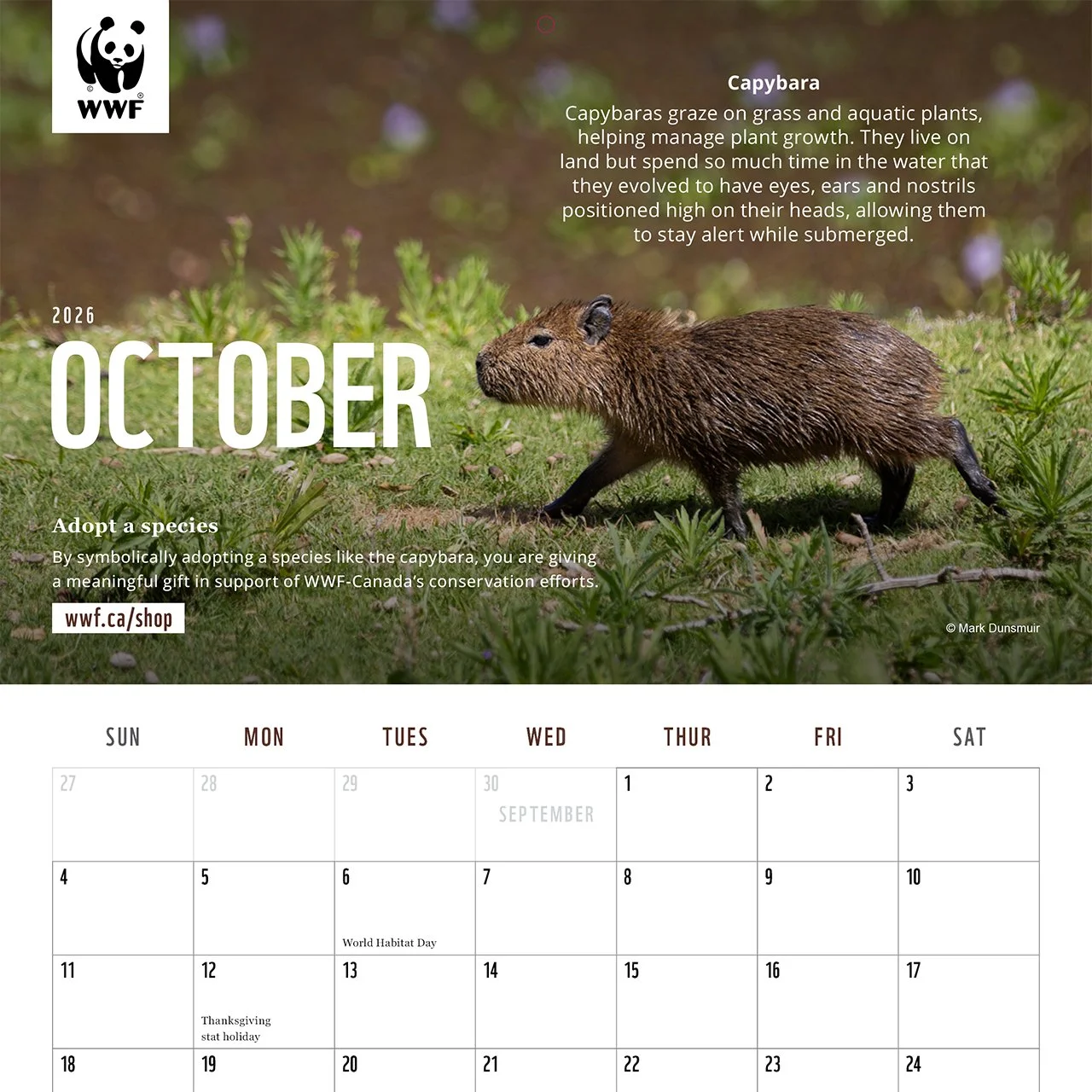 cappy cal wwf for IG.jpg