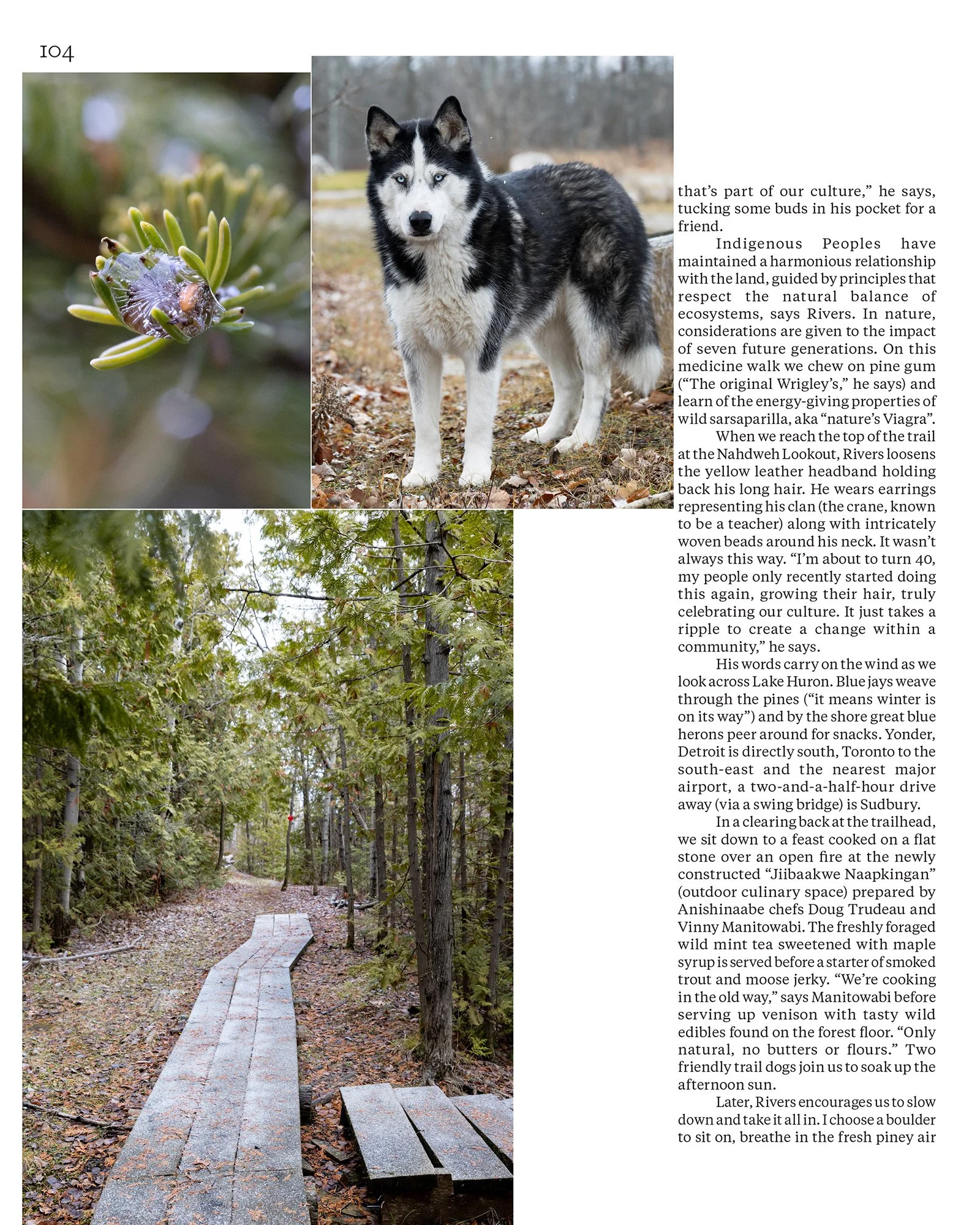 insta Qantas PDF No contents-7.jpg