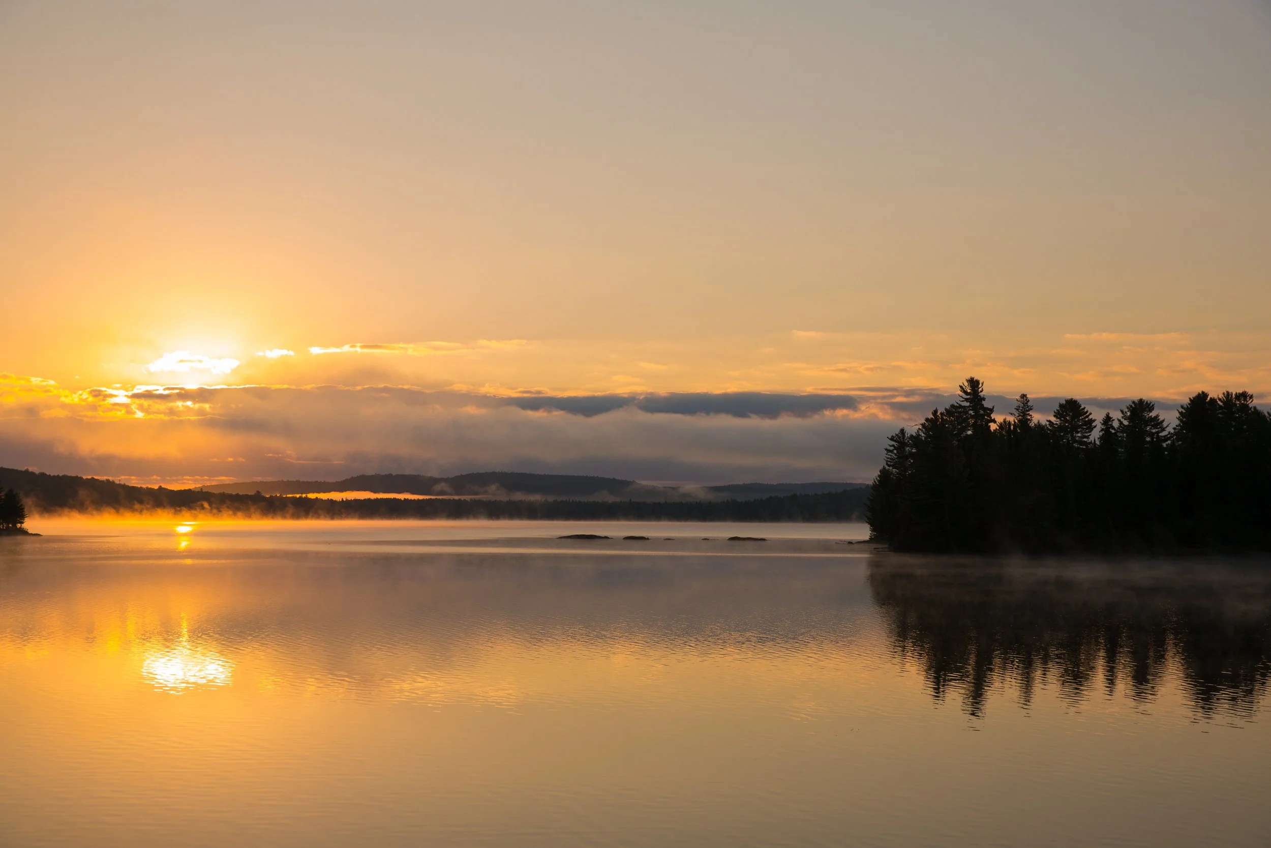 Archived for Qantas_281A2217.jpg