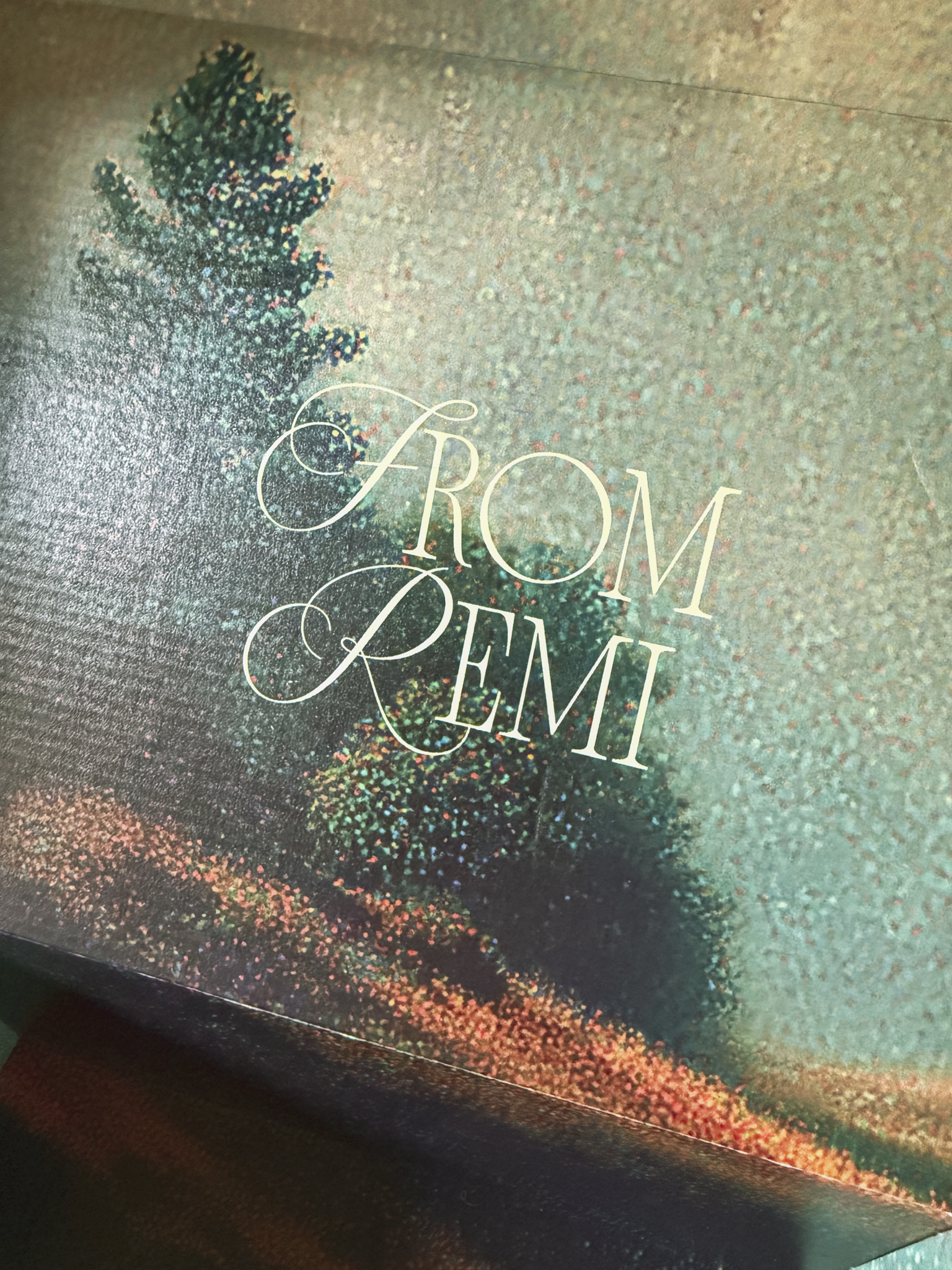 remi box inside.png
