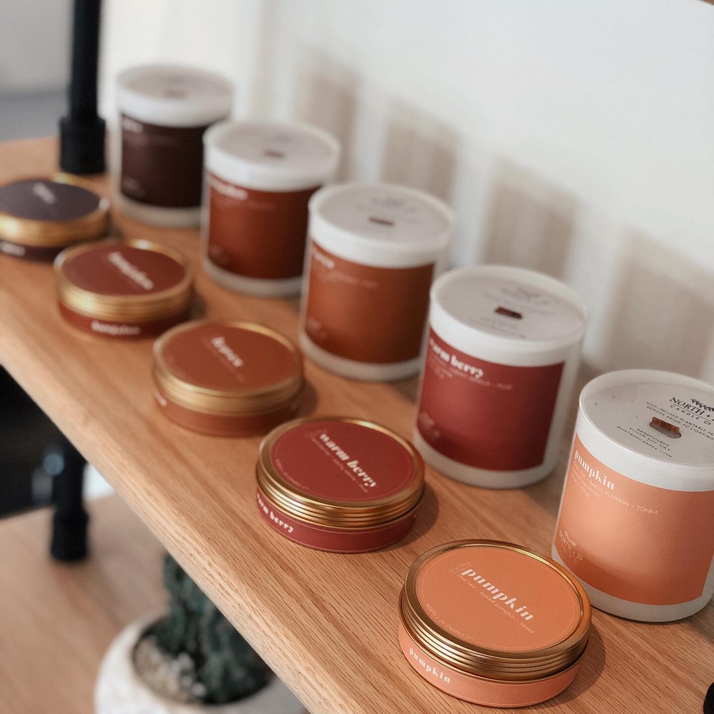 I am so excited to introduce you babes to North + 29 Candle Co. This Woman owned company donates a portion of their profits to prevent deforestation in impoverished areas around the world. Not only do these candles smell heavenly and look incredibly 