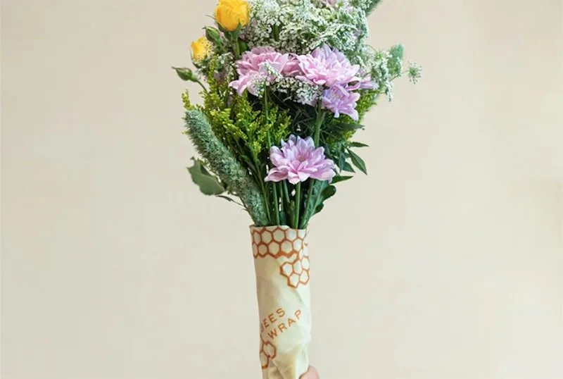 Image 13.jpeg