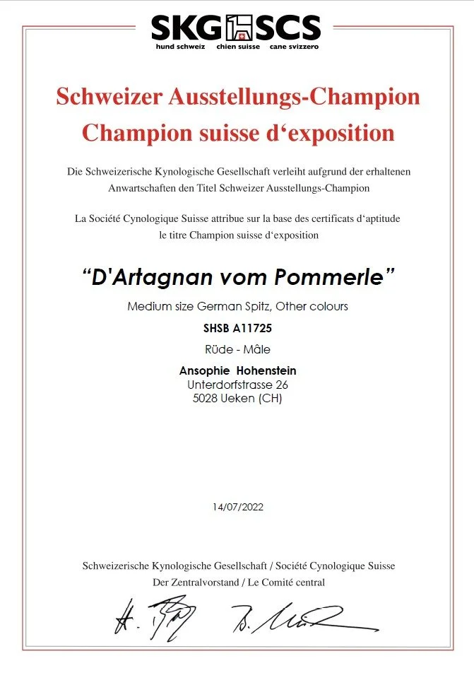 Swiss Show Champion.jpg