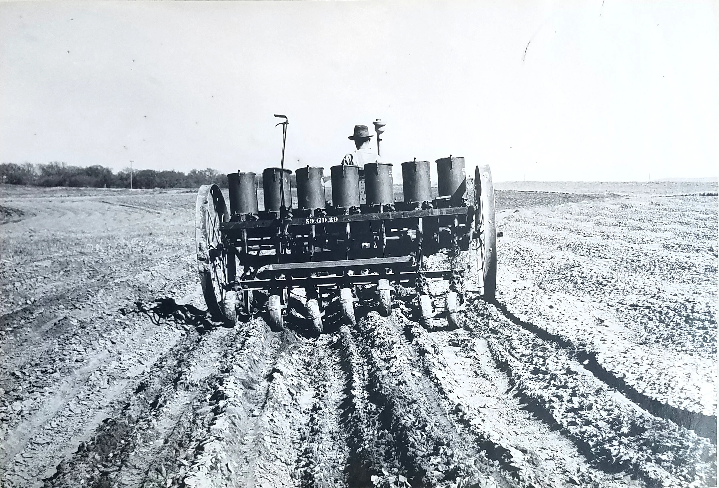 Drilling blue grama grass on basin listed fallow with SCS grass drill, Hays, Kansas. April 14, 1941. Credit: L.E. Wegner. Figure 6 in Annual Report Soil Covervation Investigations, Fort Hays Experiment Station, 1941. National Archives, Record Group 1