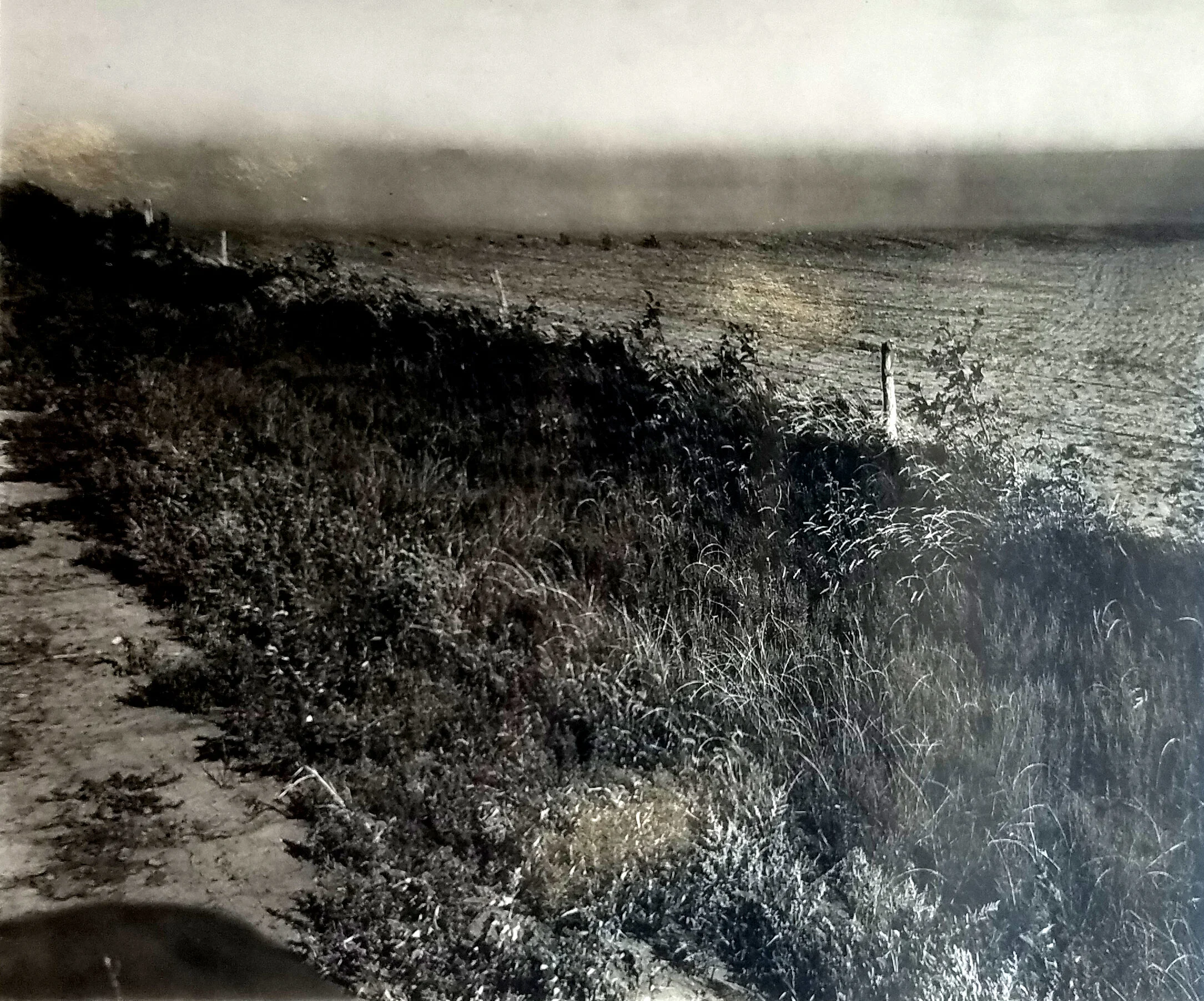 Wind erosion near Hays, Kansas obscures building in background. c. 1934. Figure 9 in Annual Report of Bureau of Agricultural Engineering. National Archives, Record Group 114, Entry 109.