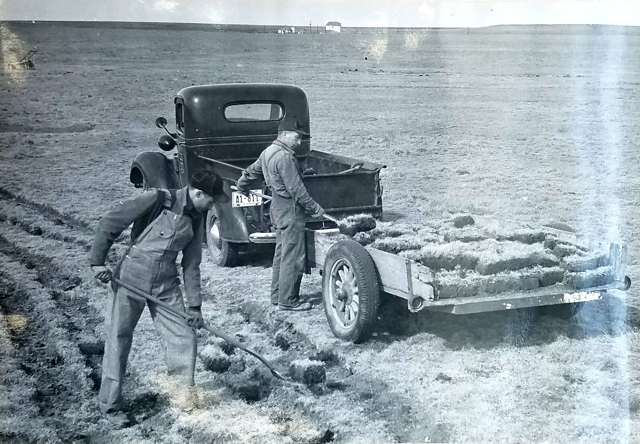 The method of obtaining and handling sod where transportation was a factor. c. 1940. Credit: L.C. Aicher. Figure 11 in Annual Report of Soil Conservation Investigations - KAN-R-1. National Archives, Record Group 114, Entry 109.