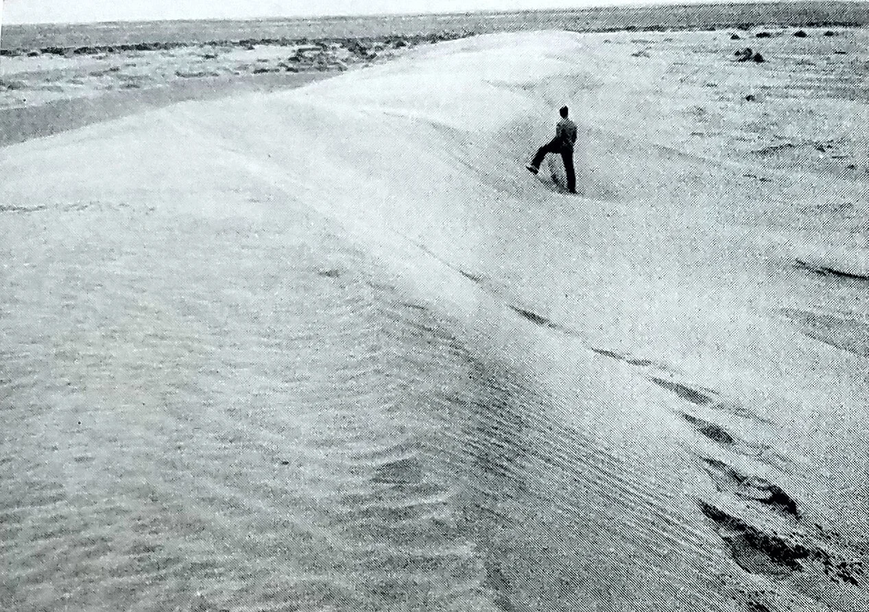 A view of the sand dunes on the Dalhart Substation. c. 1940. Figure 1 in "Soil and erosion changes on the Dalhart sand dune area," Journal of the American Society of Agronomy, Vol. 32(4), April 1940. National Archives, Record Group 114, Entry 112.