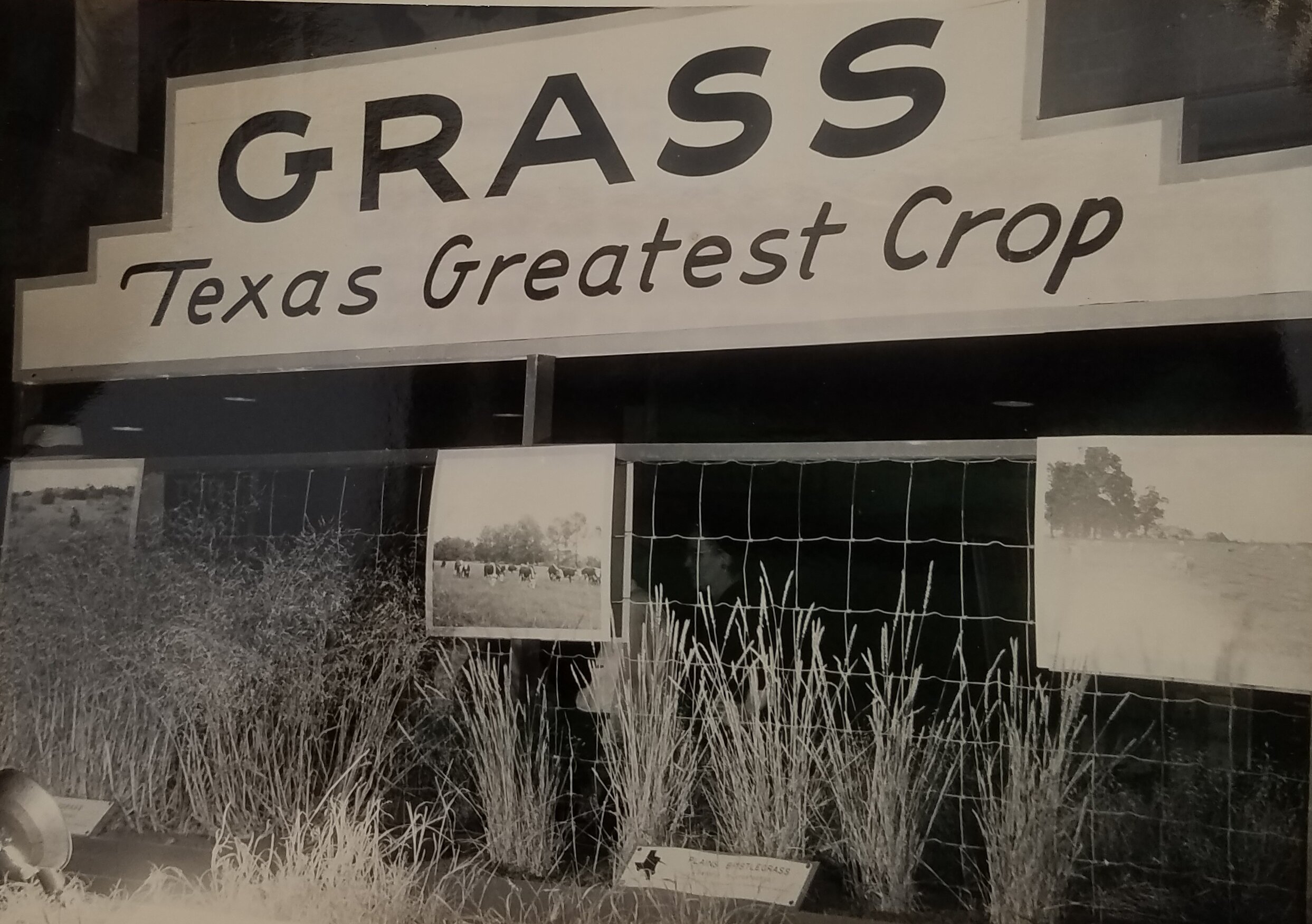 Display by the USDA at the Texas State Fair, Dallas, Texas. October 15, 1948. National Archives, Record Group 114, Entry 256.