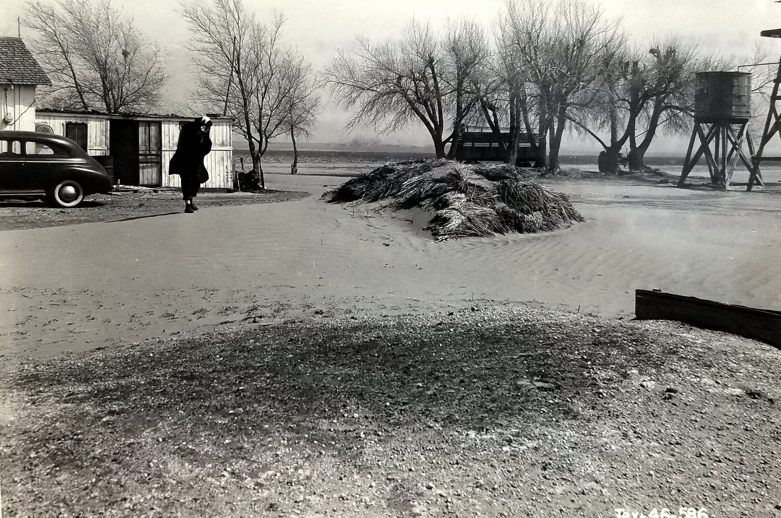 Mrs. Moore protects her face against stinging sand as she returns to her home from hired hand's house. Note sand piled up around haystack. Sand got into bundle feed and Moore's cow went dry after eating the sand-peppered feed, Moore said. Hockley Cou