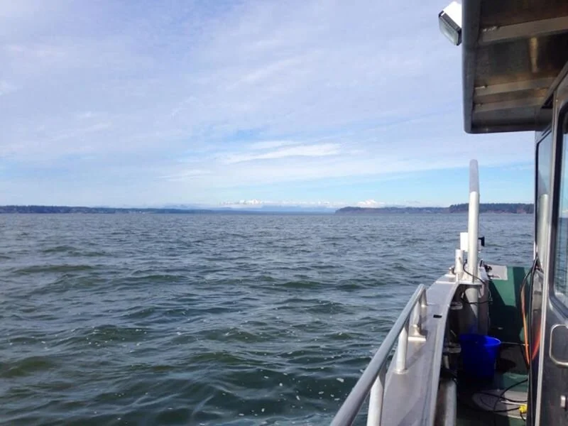 Hydrographic survey on the RV George Davidson, looking towards the Olympic Mountains, Puget Sound, Washington.