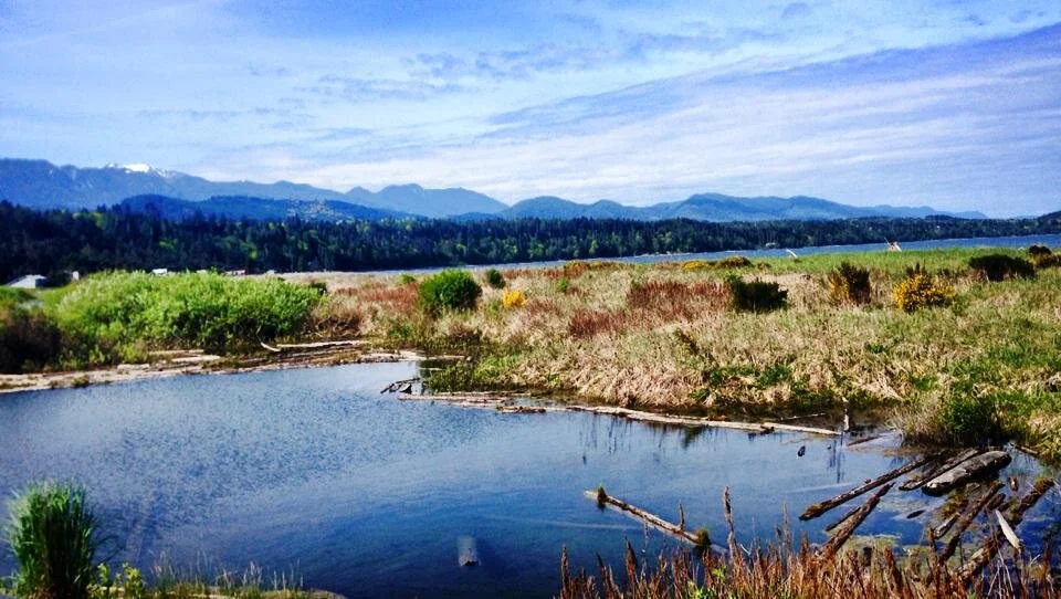 Looking west across Freshwater Bay to the Olympic Mountains, Clallam County, Washington.