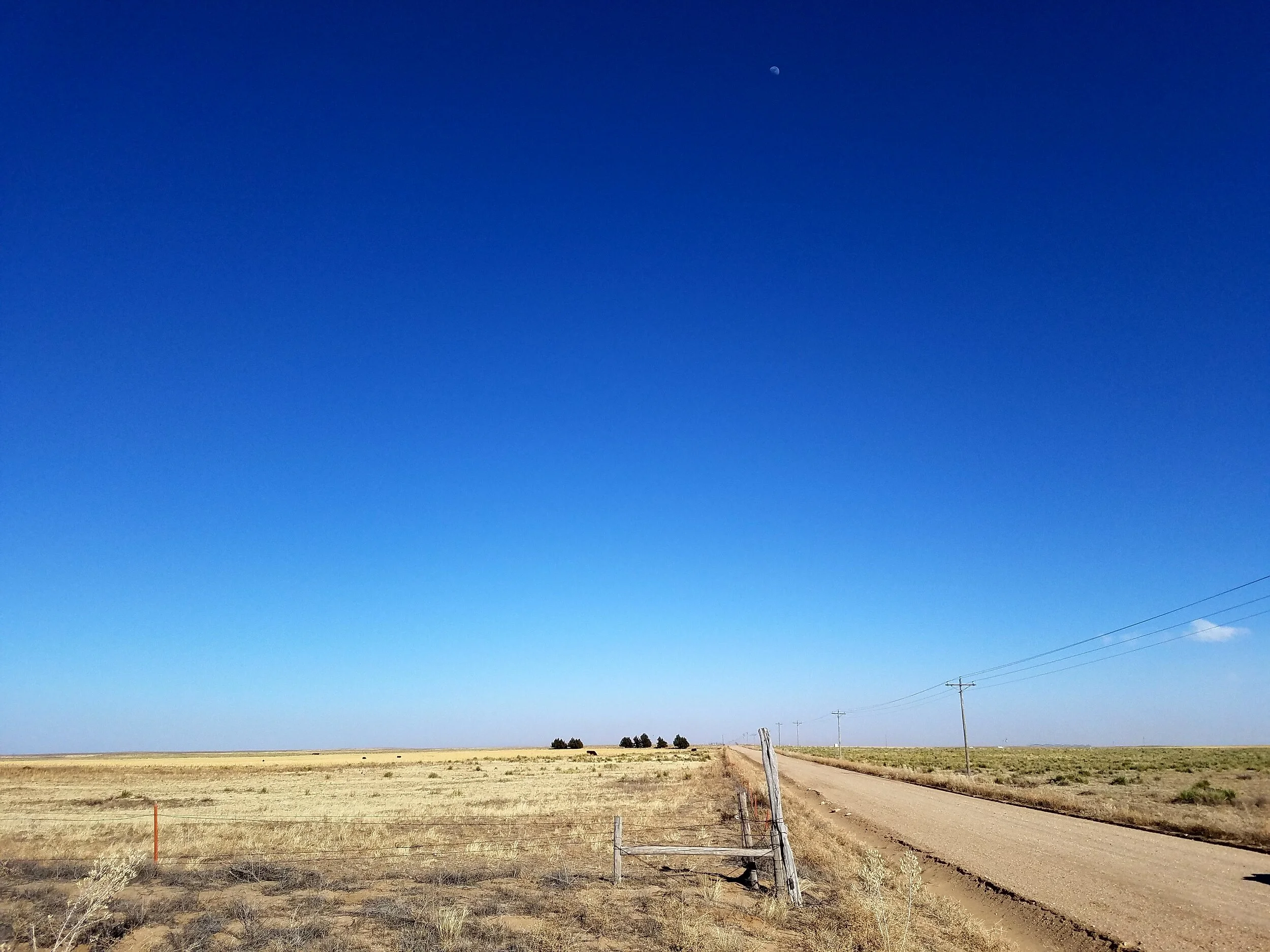 Moon rise over the southern plains, Baca County, Colorado.