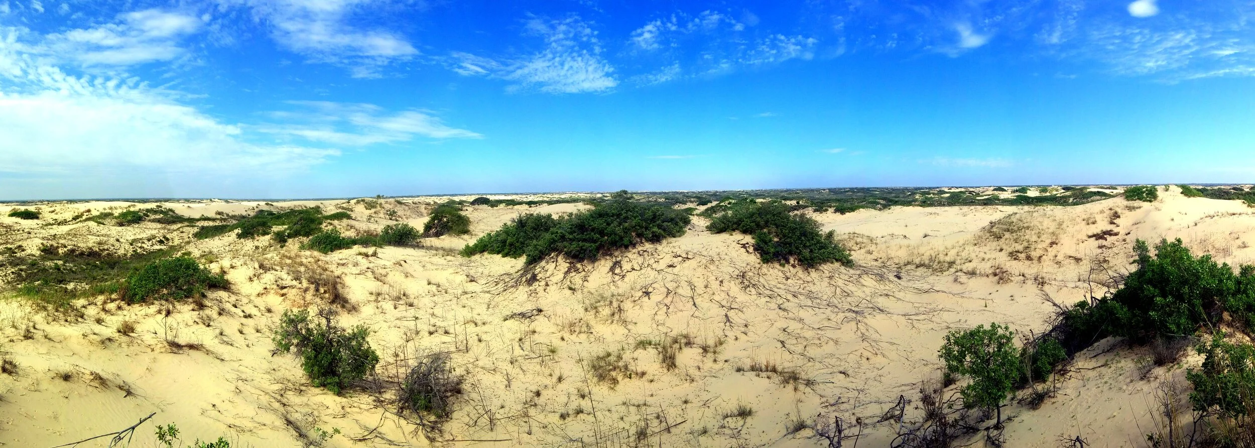 Monahans Dunes, west Texas.