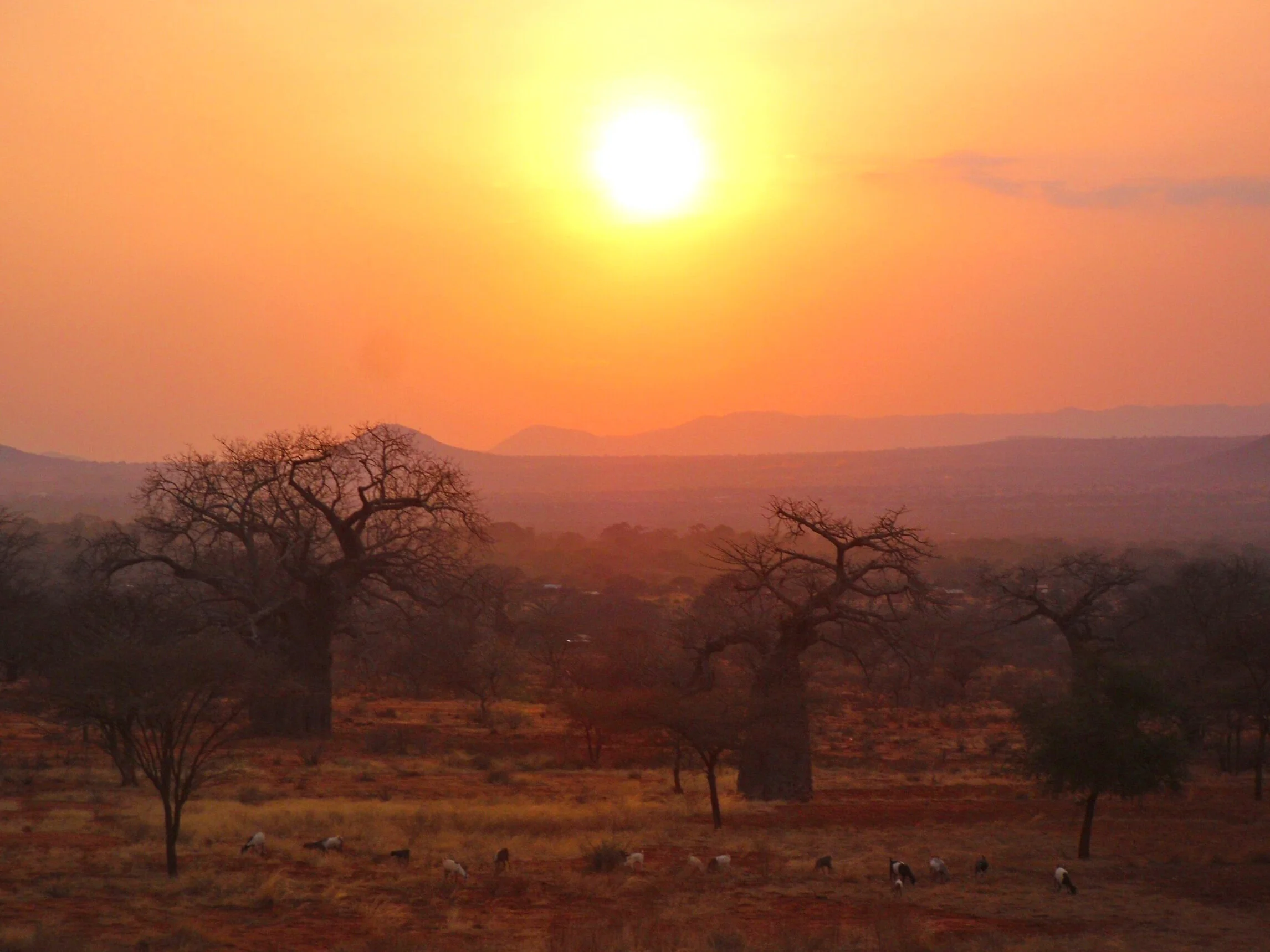 Sunset over the Taveta region, near Mt. Kilimanjaro, Kenya.