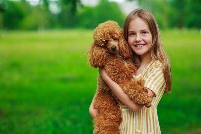 Adoption Application Poodle Angels