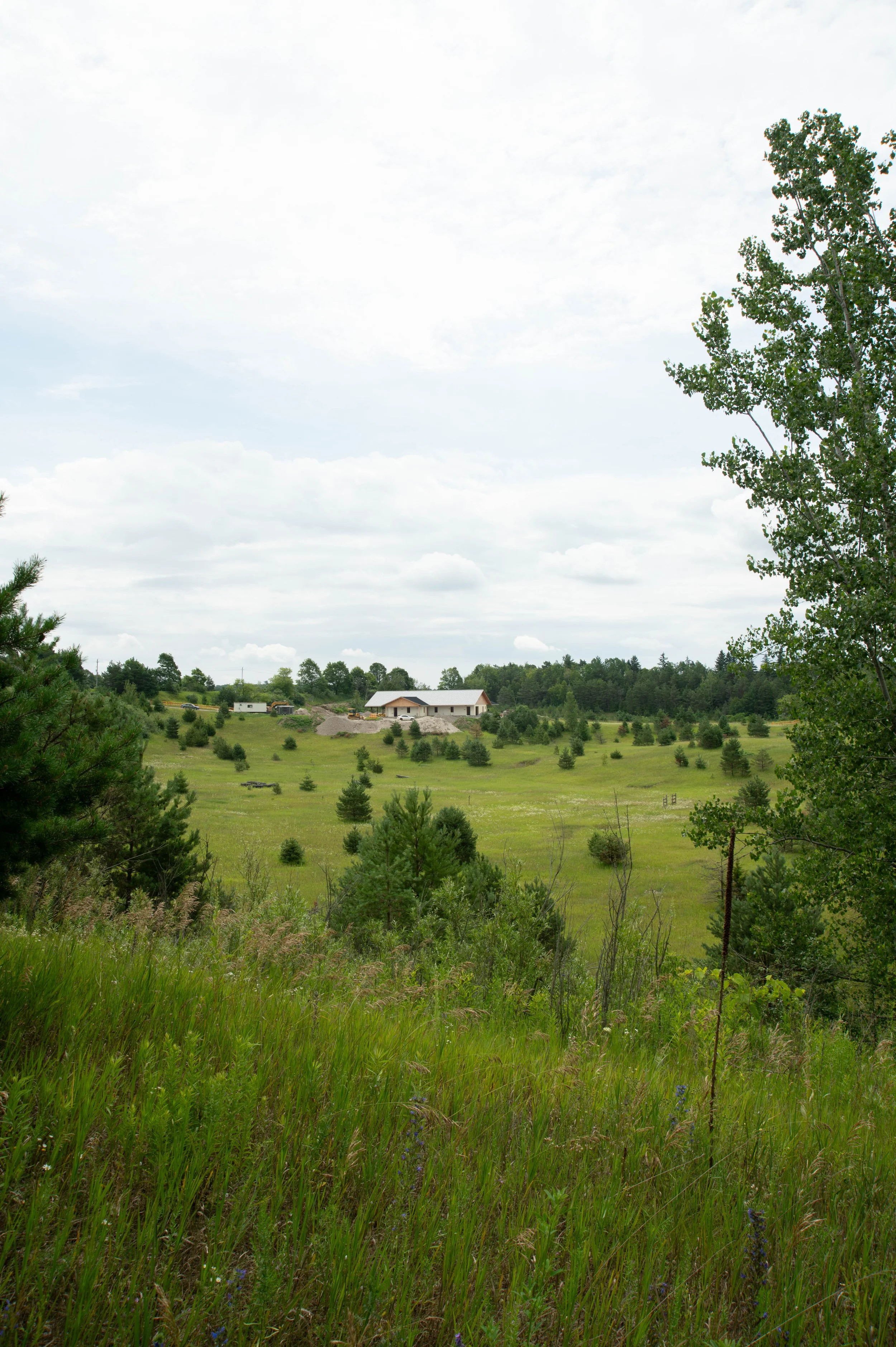DSC_4919.jpg
