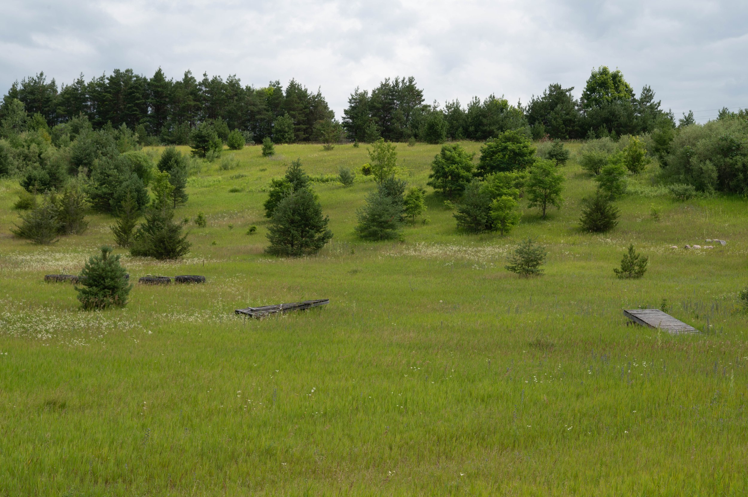 DSC_4898.jpg