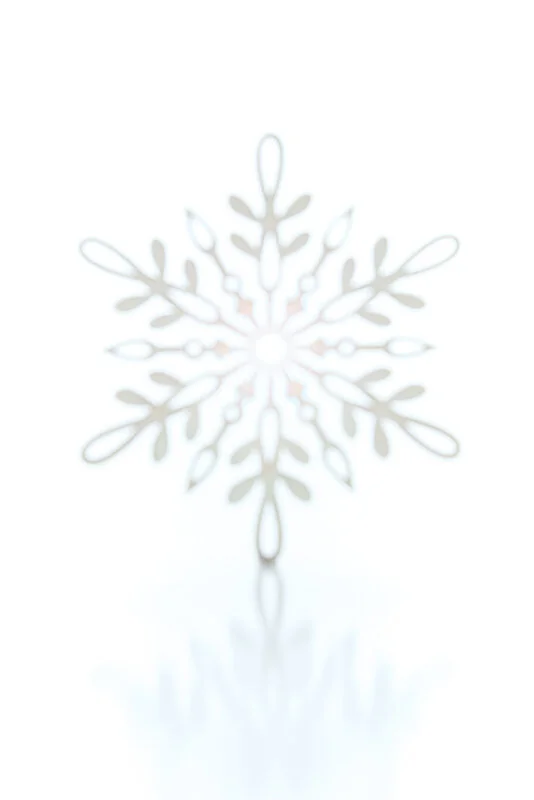 JJILL_XMAS_GENERIC14312.jpg