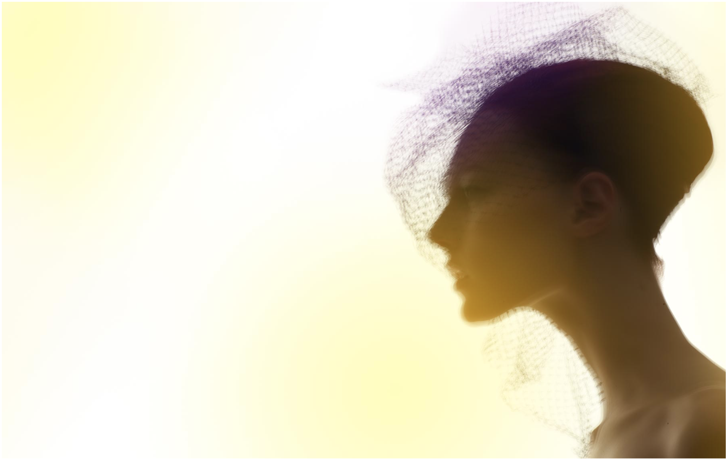 Screen Shot 2020-02-20 at 12.13.38 PM.png