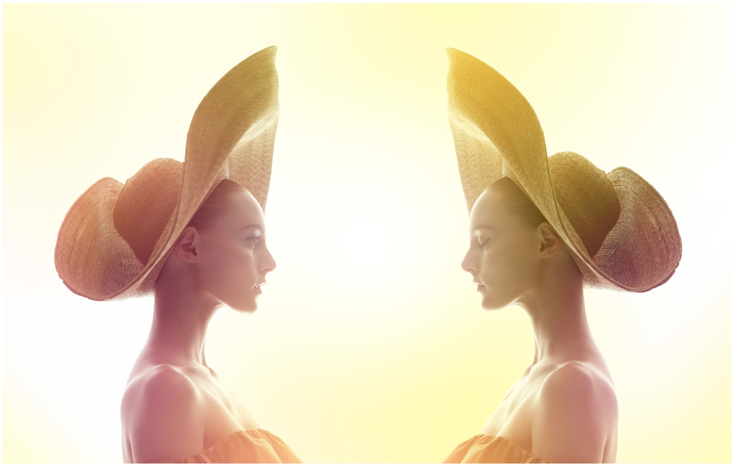 Screen Shot 2020-02-20 at 12.14.48 PM.png