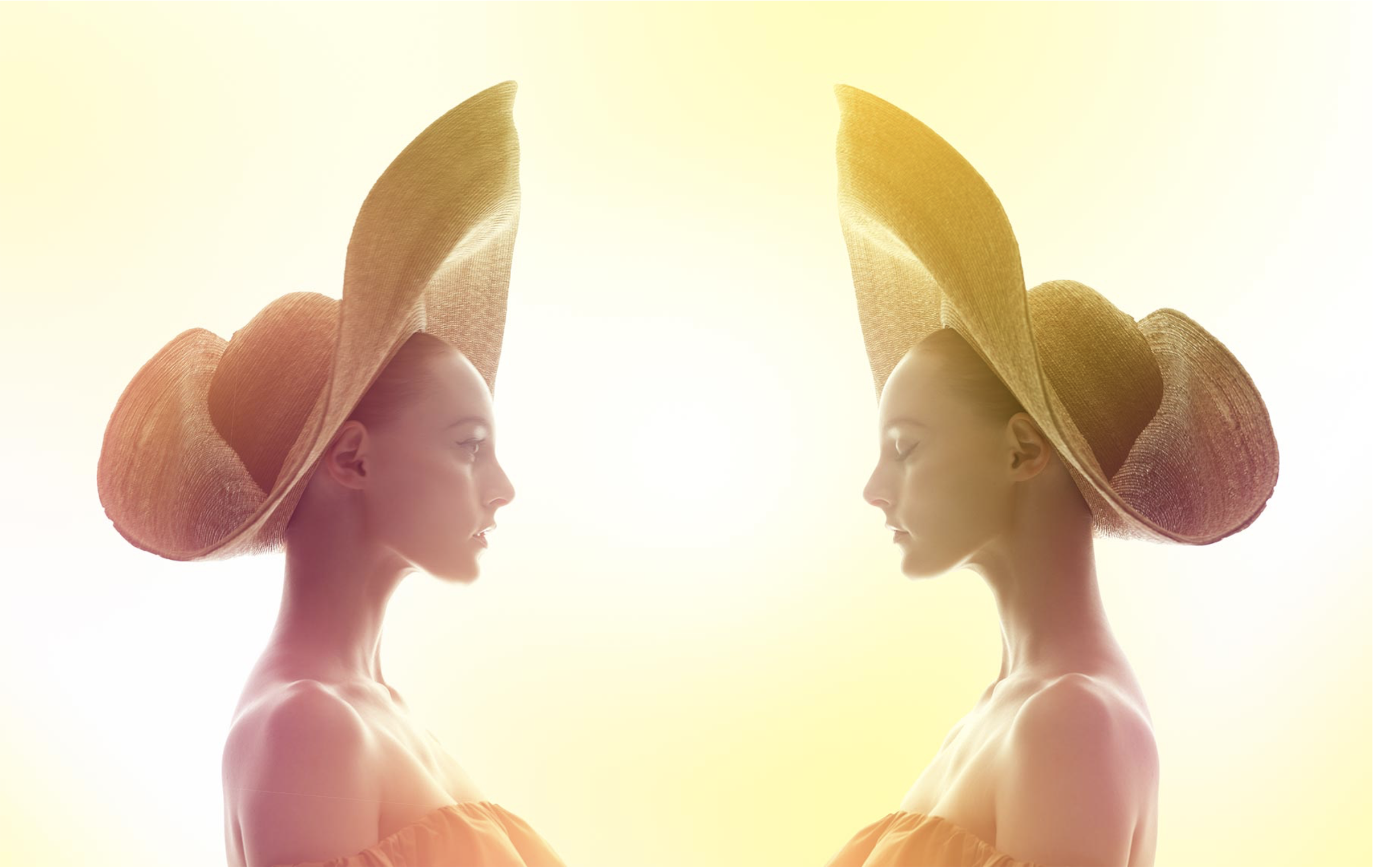 Screen Shot 2020-02-20 at 12.14.48 PM.png