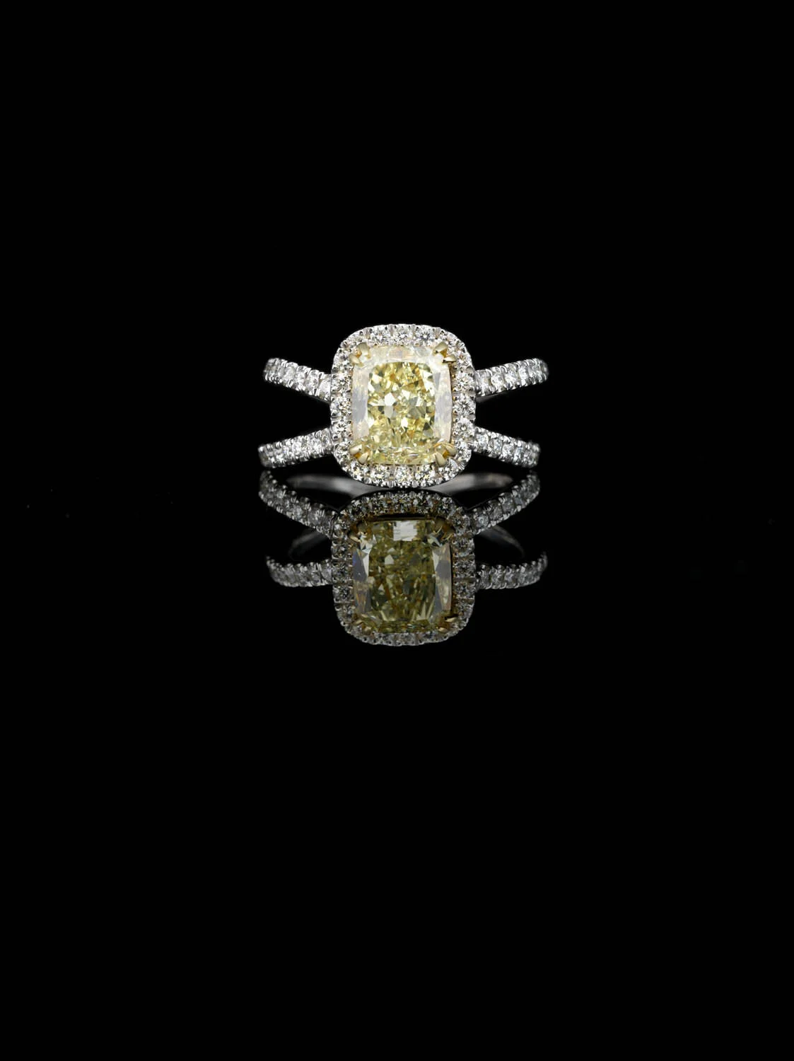 ACC_BL_RING_00011.jpg