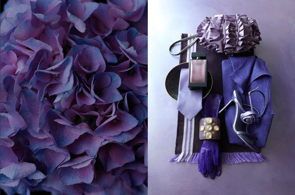 purple_collage.jpg