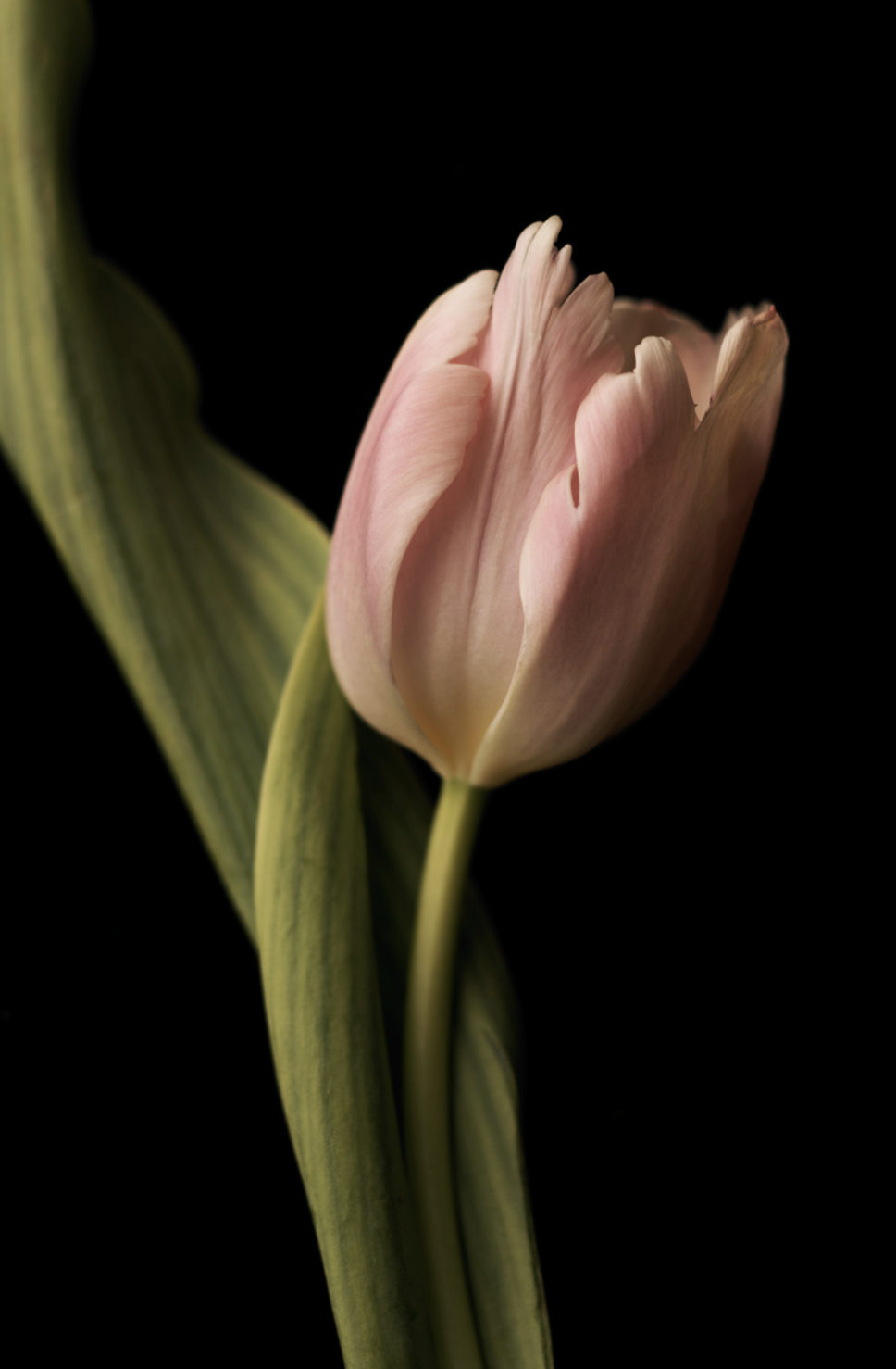 Screen Shot 2020-10-04 at 4.12.05 PM.png