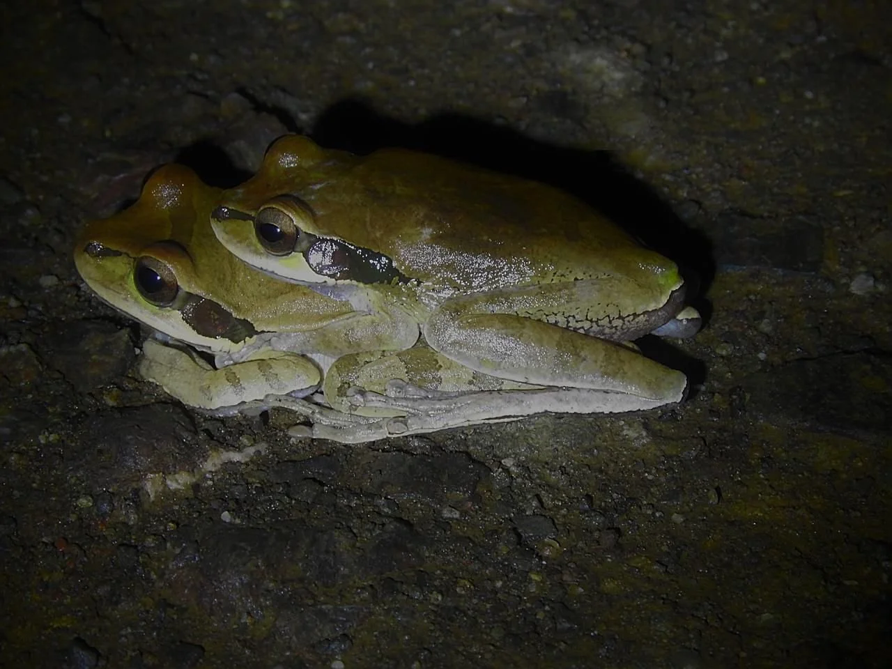 WhatsApp Image 2025-10-19 at 16.32.04 (2).jpeg