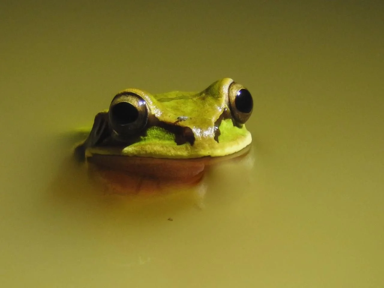 WhatsApp Image 2025-10-19 at 16.32.03 (1).jpeg