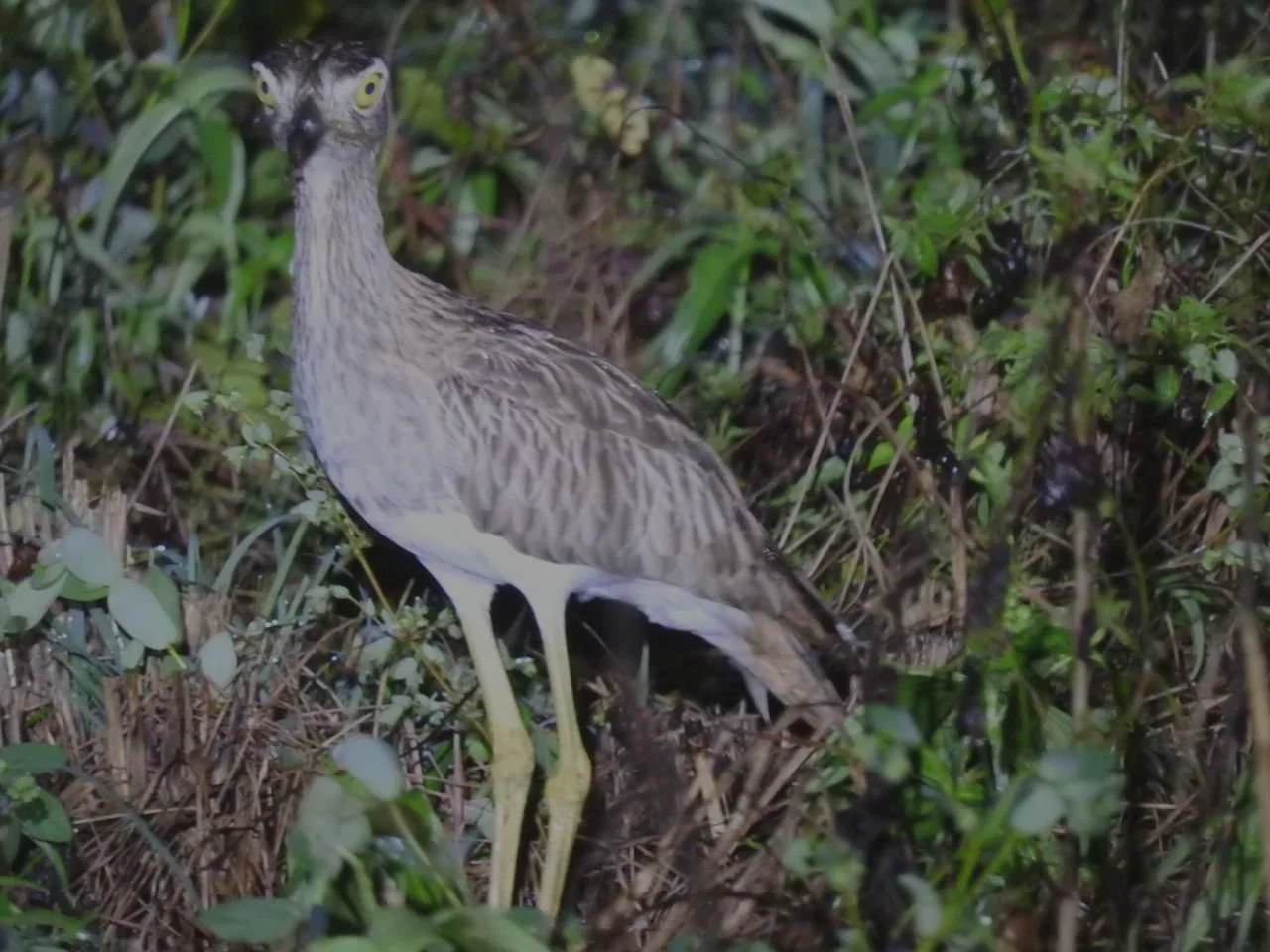 WhatsApp Image 2025-10-19 at 16.32.05 (1).jpeg