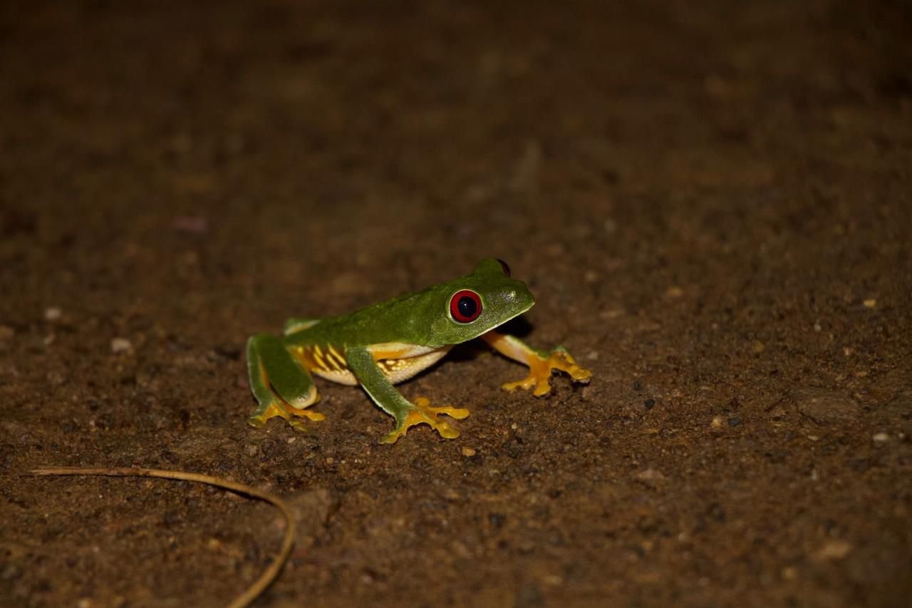 WhatsApp Image 2025-10-19 at 16.32.05 (3).jpeg