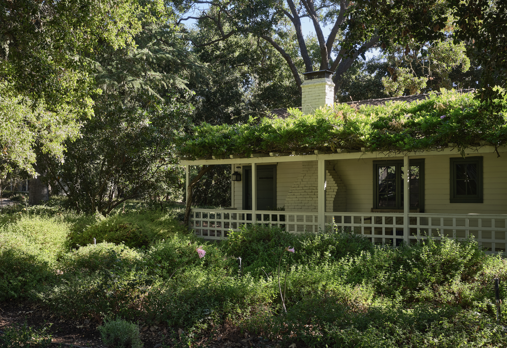 Screenshot 2025-10-14 at 1.41.21 PM.png