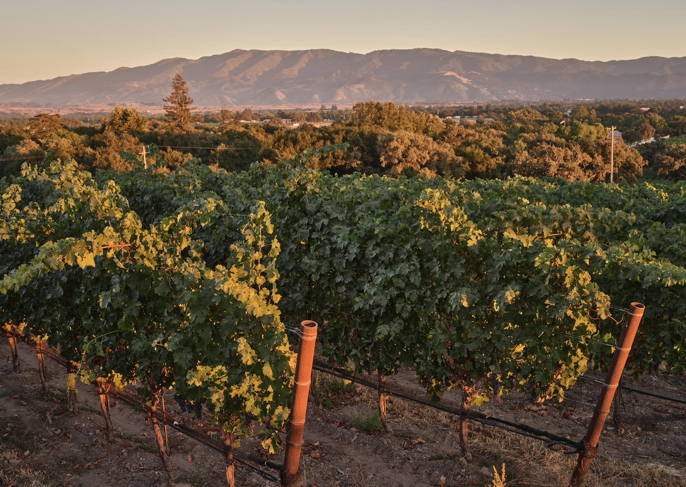 Screenshot 2025-10-14 at 1.41.14 PM.png