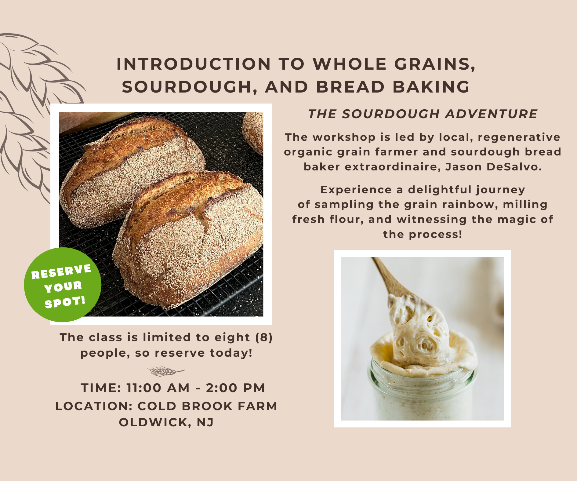 Introduction to Whole Grains, Sourdough, and Bread Baking (Copy)